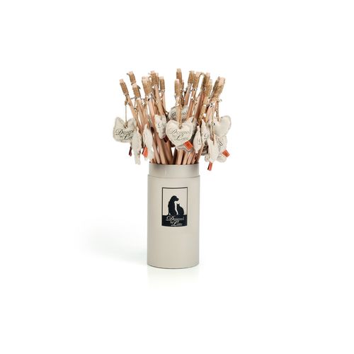 Baguettes pour chat My Fav Cat 24 pcs assorties 50 cm - MyStetho Veterinary