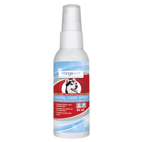 bogadent Dental Care Spray pour chiens 50ml - MyStetho Veterinary