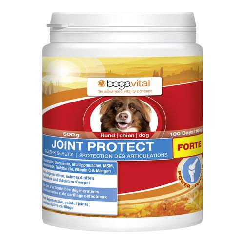 bogavital Joint Protect Forte chien 500g - MyStetho Veterinary