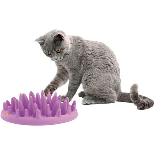 Catch Cat Feeder 27 x 23 x 8 cm - MyStetho Veterinary