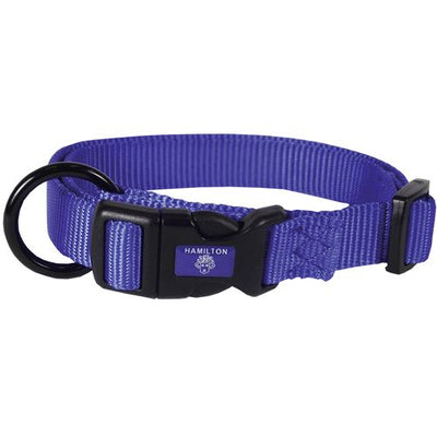 Collier pour chiens bleu 1.5 x 30 - 45 cm - MyStetho Veterinary