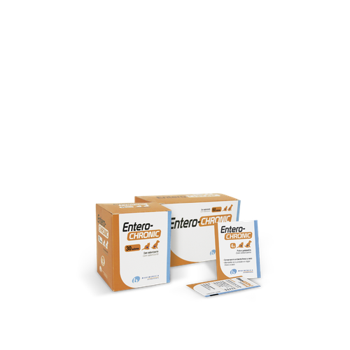 Entero-Chronic (1 sachet) - MyStetho Veterinary