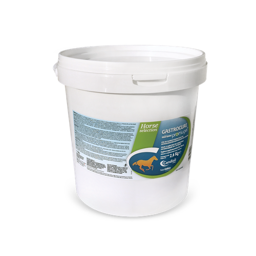 Gastrocure Kg 2.6 Concentré en poudre - MyStetho Veterinary