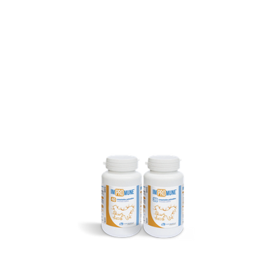 Impromune (boite de 40 comprimés) - MyStetho Veterinary