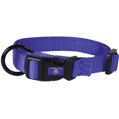 Collier pour chiens bleu 2.5 x 45 - 65 cm - MyStetho Veterinary