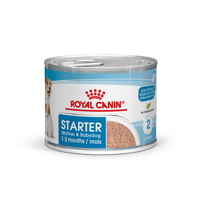 Royal Canin Starter Mousse 0,195 kg - MyStetho Veterinary