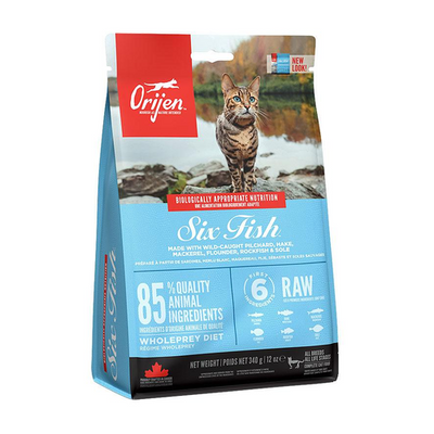 Orijen Cat 6 FISH 340gr - MyStetho Veterinary
