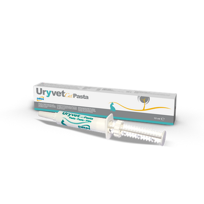 Uryvet Cat Pasta 15 g injecteur - MyStetho Veterinary