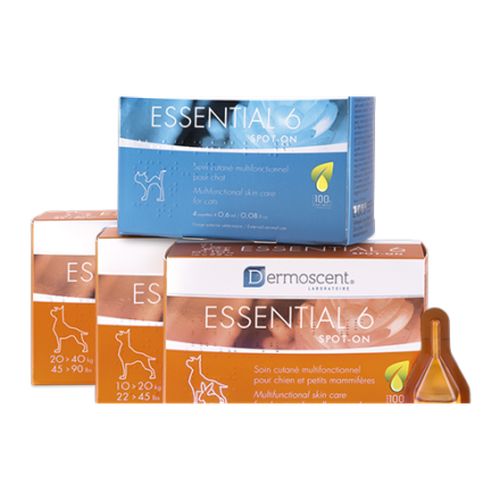 Essential 6® spot-on dog (-10kg) - 0.6 ml (1 pipette) - MyStetho Veterinary