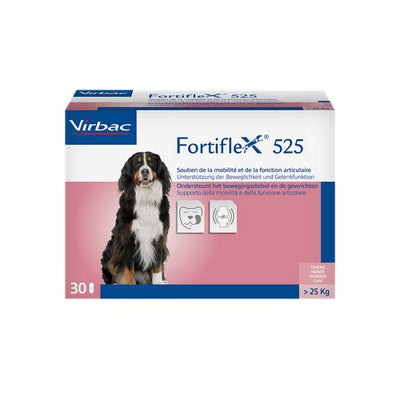 Fortiflex 525mg 25-40 kg (1 comprimé) - MyStetho Veterinary