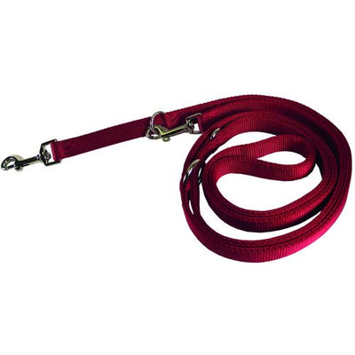 Laisse 3 pos. rouge 2.5 cm x 1.8 m - MyStetho Veterinary