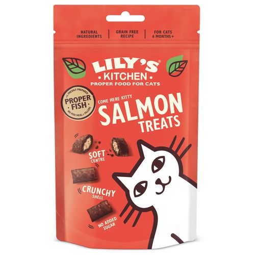 Lily's Kitchen Salmon Treats 60g - MyStetho Veterinary