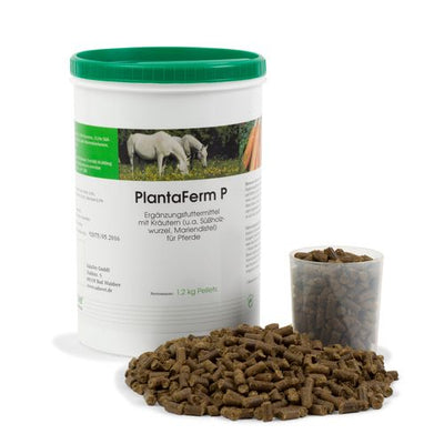 PlantaFerm-P 1200 g boîte - MyStetho Veterinary