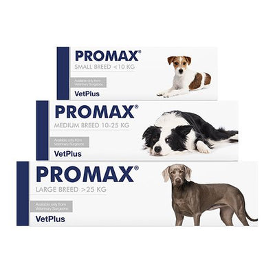 PROMAX® Medium - 18 ml Injektor - MyStetho Veterinary