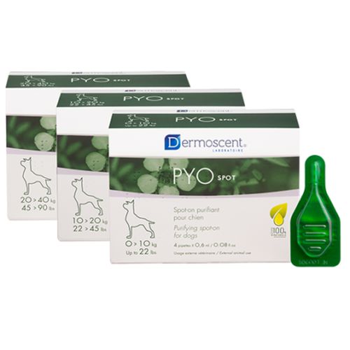 PYOspot® dog (10-20kg) - 1.2 ml (1 pipette) - MyStetho Veterinary