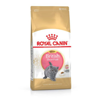 Royal Canin British Shorthair Kitten 2 kg - MyStetho Veterinary