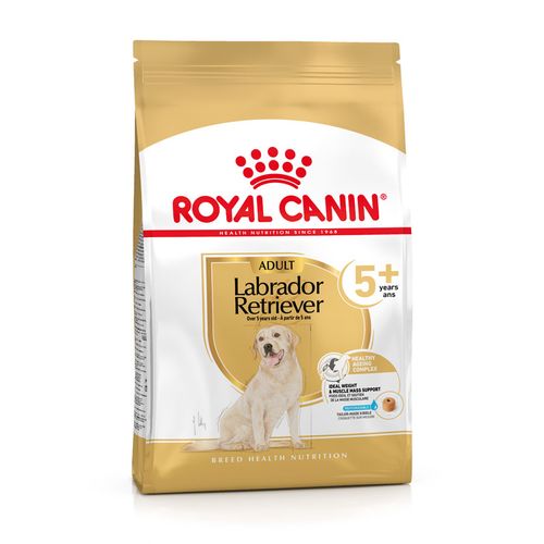 Royal Canin Labrador Retriever Adult 5+ 12 kg - MyStetho Veterinary