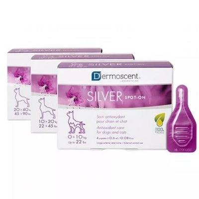 SILVER spot-on cat & dog (0-10kg) - 0.6 ml (1 pipette) - MyStetho Veterinary