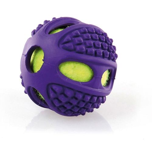 Swisspet Ballo - MyStetho Veterinary