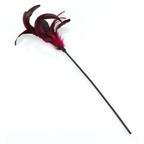 Swisspet plumeau Purplegame L=50cm - MyStetho Veterinary