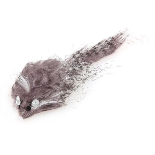 Swisspet souris poil long, gris - MyStetho Veterinary
